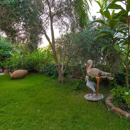 Mavi Deniz Pensión Selimiye (Aegean)