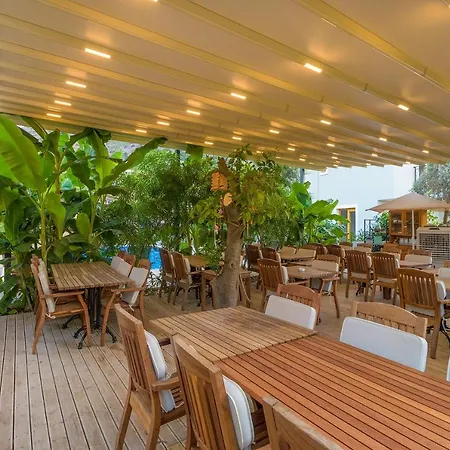 Mavi Deniz 셀리미예