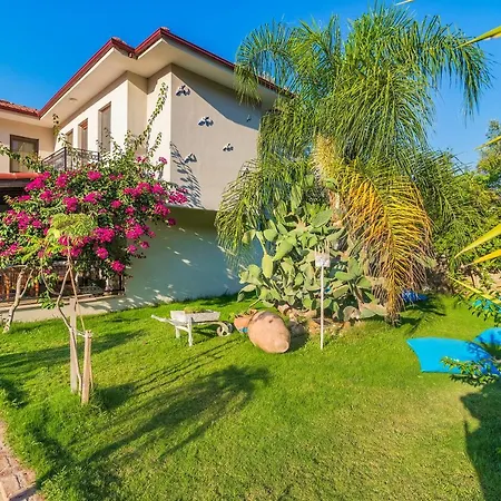 Mavi Deniz 3* 셀리미예