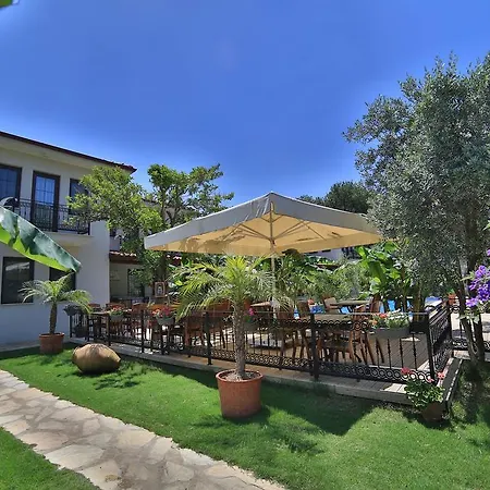 게스트하우스 Mavi Deniz 셀리미예