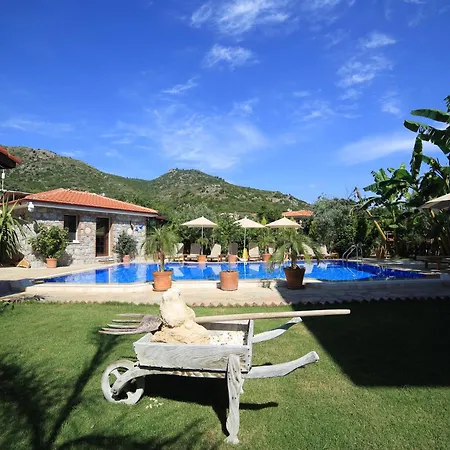 Mavi Deniz 셀리미예