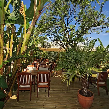 Mavi Deniz 3* 셀리미예