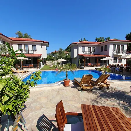 Mavi Deniz *