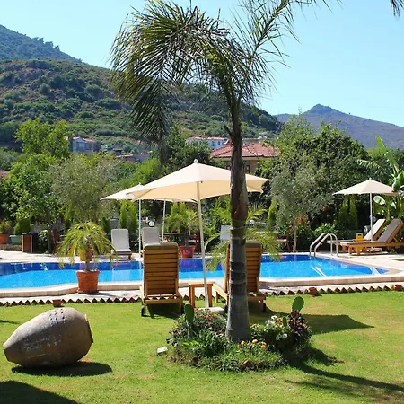 Guest house Mavi Deniz *