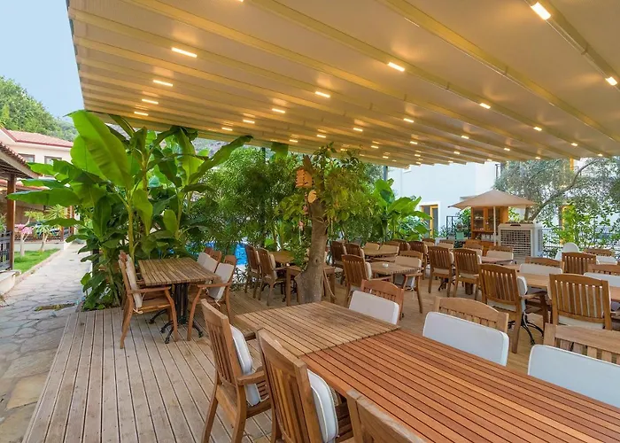 Mavi Deniz Selimiye (Aegean)