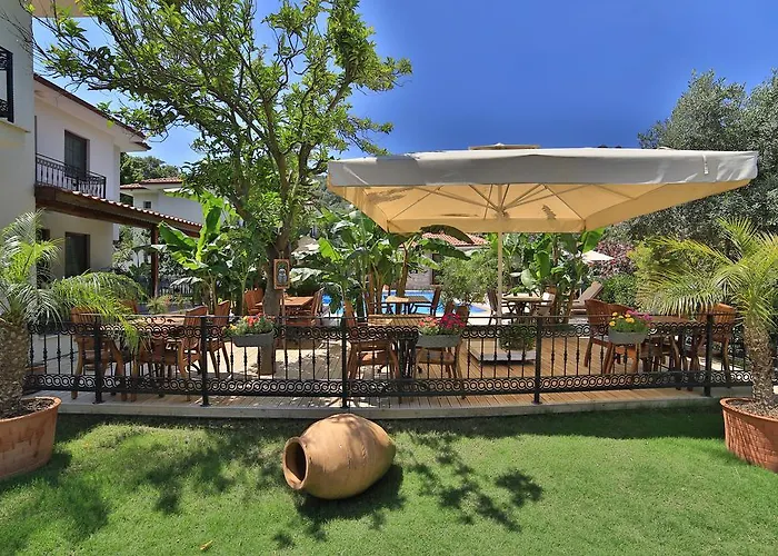 Mavi Deniz Selimiye (Aegean)